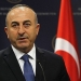 Bakan Çavuşoğlu'ndan vize serbestisi açıklaması 12 Bakan Çavuşoğlu’ndan vize serbestisi açıklaması