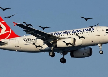 Atatürk Havalimani leylek alarmi verdi