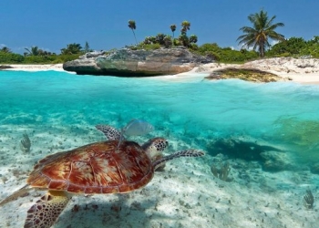Meksika’nın tatil cenneti, ünlülerin yeni uğrak yeri: Tulum