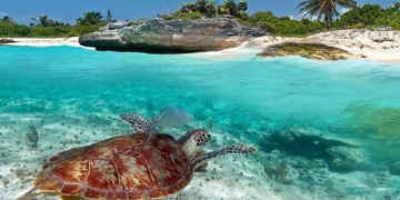 Meksika’nın tatil cenneti, ünlülerin yeni uğrak yeri: Tulum