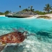 Meksika'nın tatil cenneti, ünlülerin yeni uğrak yeri: Tulum 12 Meksika’nın tatil cenneti, ünlülerin yeni uğrak yeri: Tulum