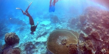 Avustralya’dan Büyük Set Resifi için 400 milyon dolar!