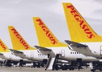 Pegasus, 'Altın Örümcek Web'in iki ödülüne birden layık görüldü!