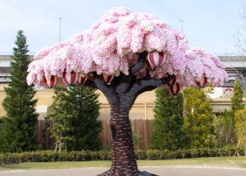 Çekya'da LEGO'dan yapılan Sakura Ağacı Guinness'e girdi!