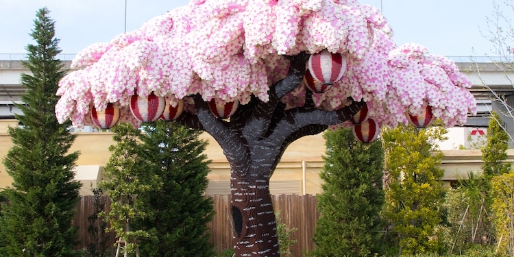Çekya'da LEGO'dan yapılan Sakura Ağacı Guinness'e girdi!