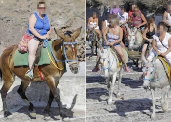 Eşekleri sakatlayan obez turistler Yunan Adası Santorini’yi karıştırdı!