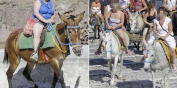Eşekleri sakatlayan obez turistler Yunan Adası Santorini’yi karıştırdı!