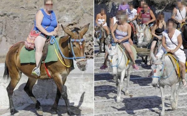 esekleri sakatlayan obez turistler yunan adasi santorini yi karistırdi 601x400 1