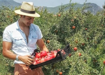30 bin lira maaşlı ‘profesyonel turist’ Ortaca’da mesaide!