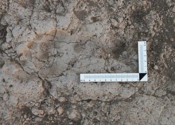 Van’da tarihi keşif… Urartular’ın ayak izine rastlandı!