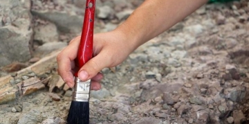 558 milyon yıllık, bilinen en eski hayvan fosili Beyazdeniz kıyılarında bulundu!