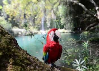 Antalya’nın saklı cenneti Kurşunlu Şelalesi turistleri büyülüyor!
