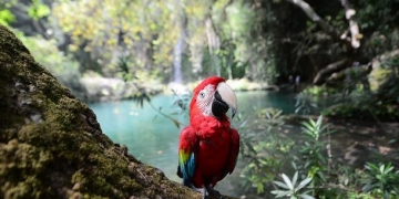 Antalya’nın saklı cenneti Kurşunlu Şelalesi turistleri büyülüyor!