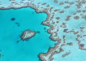 Avustralya’da Büyük Set Resifi ‘RangerBot’a emanet!