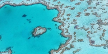 Avustralya’da Büyük Set Resifi ‘RangerBot’a emanet!