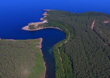 Cazibe merkezine dönüşen Türkiye’nin tabiat parklarına ziyaretçi yağdı!
