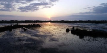 Kızılırmak Deltası Kuş Cenneti UNESCO yolunda ilerliyor!