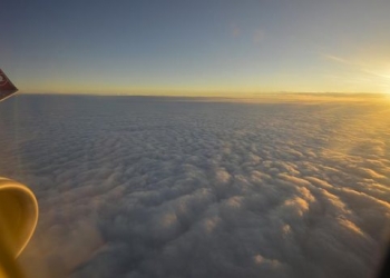 Türkiye’nin ihracat şampiyonu THY unvanını korudu!