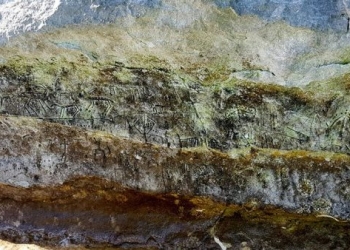 Atatürk Barajı’ndaki tarihi resimleri balıkçılar tesadüfen buldu!