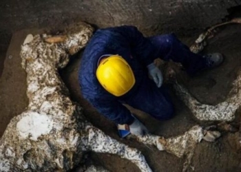 İtalya'nın antik kenti Pompeii’de taşlaşmış at bulundu! 11 İtalya’nın antik kenti Pompeii’de taşlaşmış at bulundu!
