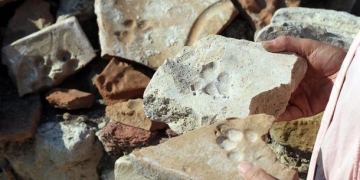 Kuşadası’ndaki Kadıkalesi’nde 8 asırlık pati izleri bulundu