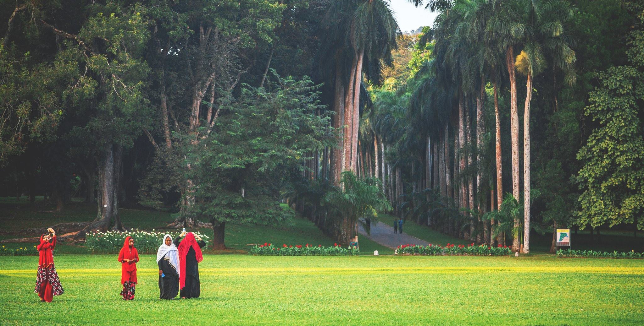 Royal Botanical Gardens (Sri Lanka Kraliyet Botanik Bahçeleri)