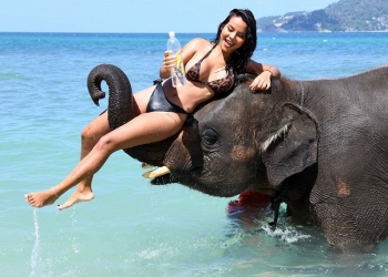 Kasa Suda Phuket'te fil ile reklam çekimi yaptı! 5 Kasa Suda, Balayı Adası Phuket'te fil ile reklam çekimi yaptı!