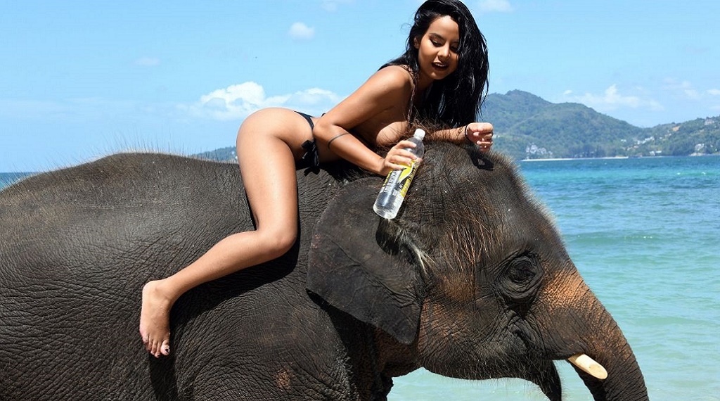 Phuket'teki reklam çekimlerinde Kasa Suda'ya bir fil eşlik etti