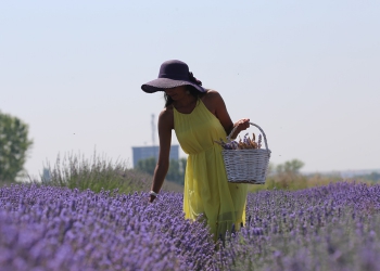 Edirne ‘mor turizm’e hazırlanıyor