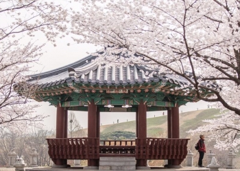 Güney Kore'de bahar havası