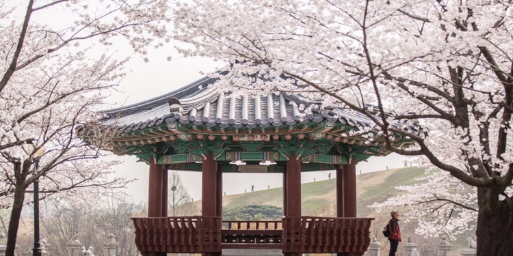 Güney Kore'de bahar havası