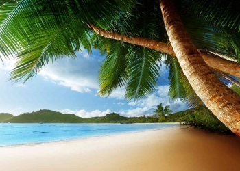 Seyşeller Adası Mahe Plajı