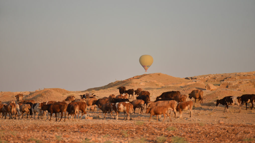 mardin balon turu