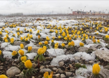 Ovacık’da yağan kar ile birlikte kartpostallık görüntüler