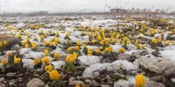Ovacık’da yağan kar ile birlikte kartpostallık görüntüler