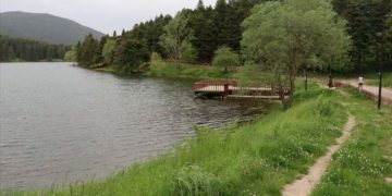 Normalleşme süreci hızlandı! Milli ve tabiat parkları açılıyor