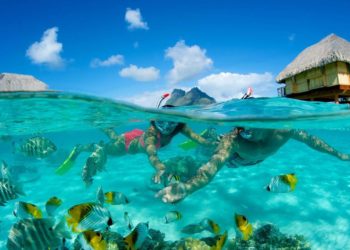 Dünyanın En Güzel Şnorkelle Dalış Yerleri 7 Şnorkelle Dalış İçin En İyi Yerlerden Biri: Bora Bora