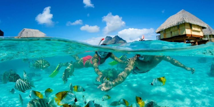 Şnorkelle Dalış İçin En İyi Yerlerden Biri: Bora Bora