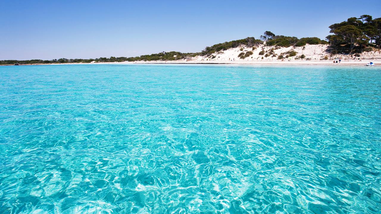 En Güzel Mallorca Plajları: En İyi 15 Mallorca Plajı 8 En Güzel Mallorca Plajları: Es Trenc
