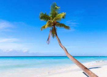 İstanbul Dominik Uçakla Kaç Saat?