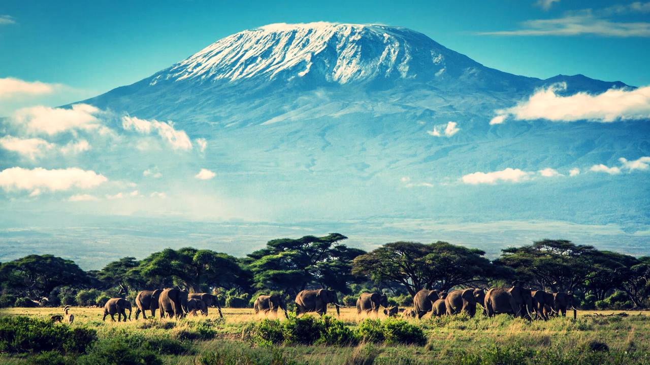 Tatil İçin En İyi Afrika Ülkeleri: Safariden Çok Daha Fazlası 11 Kilimanjaro Dağı