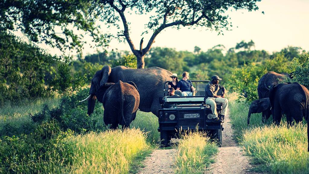 Tatil İçin En İyi Afrika Ülkeleri: Safariden Çok Daha Fazlası 5 Kruger Milli Parkı