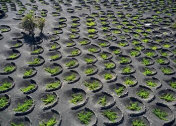 Lanzarote Gezilecek Yerler Listesi