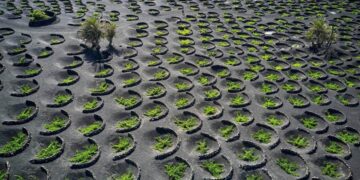 Lanzarote Gezilecek Yerler Listesi