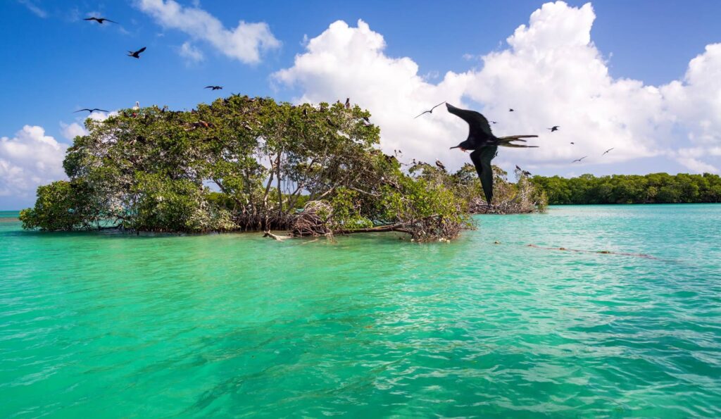 En Güzel Cancun Plajları: Top 10 5 Sian Ka'an Biyosfer Rezervi