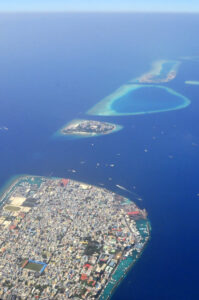 Male City