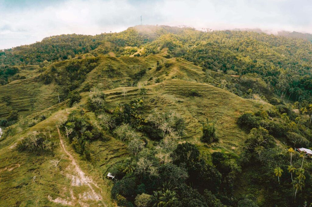Quesol Mountain View
