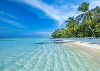 Maldivler son yıllarda pek çok kişi tarafından tercih edilen tatil destinasyonlarından biri. Peki, Maldivler tatili ucuz mu?