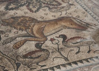 Elazığ'da sir vatandaş fidan dikmek için kazdığı çukurda tesadüfen tarihi eser buldu.