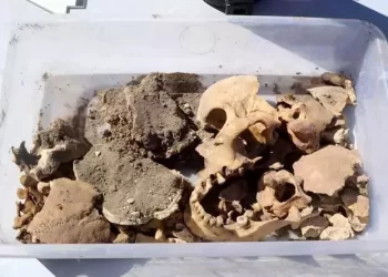 Burdur'da bulunan Hacılar Höyüğü'nde 5 bin yıllık olduğu belirlenen iskelet keşfedildi.